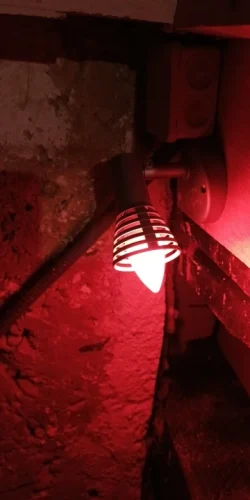 Smart WiFi Zigbee LED Light Bulb Dimmable E27 photo review