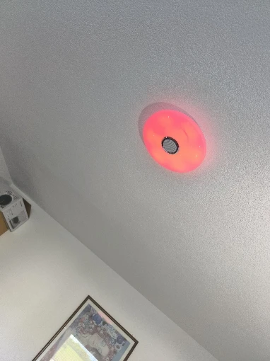 RGB Smart Ceiling Light LED Interior Home Decorative photo review