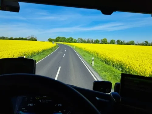 Metal Aluminum Alloy Portable Photography Tripod Light Stand photo review