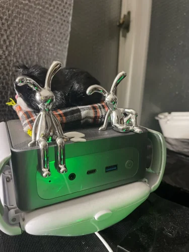 2PC Long-Eared Rabbit Double Statue Cartoon Decoration Accessories photo review