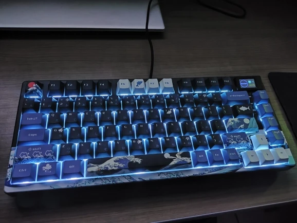 Wired Mechanical Gaming Keyboard with OLED Display Full photo review