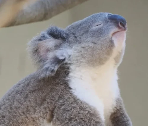 Vention USB Hub High Speed 4 Ports Multi photo review