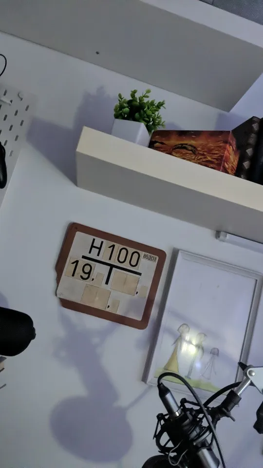 1pc Artificial Plants with Plastics Pots Perfect Greenery photo review