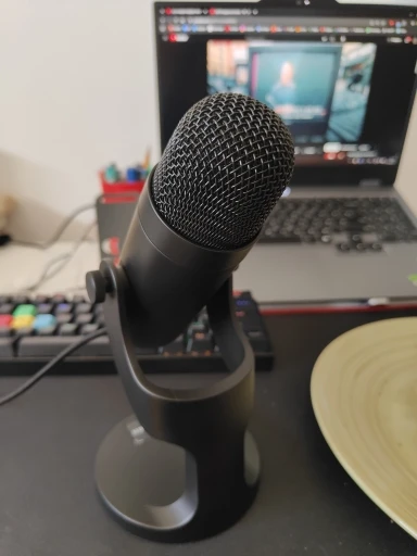 Haomuren USB Microphone for PC Mac Gaming Recording photo review