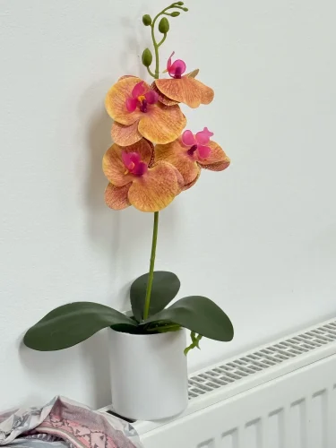 Bonsai Simulated Butterfly Orchid Artificial Potted Plant Desk photo review