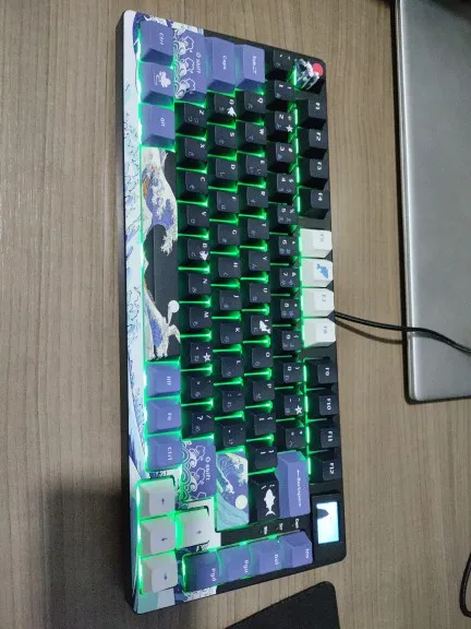 Wired Mechanical Gaming Keyboard with OLED Display Full photo review