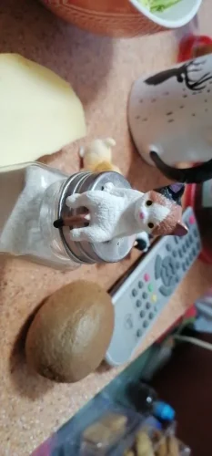 Home Decoration Cute Desktop Gifts Cartoon Simulation Edge photo review