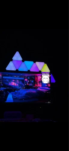 Super Thin LED Triangle Lamps Indoor RGB Quantum photo review