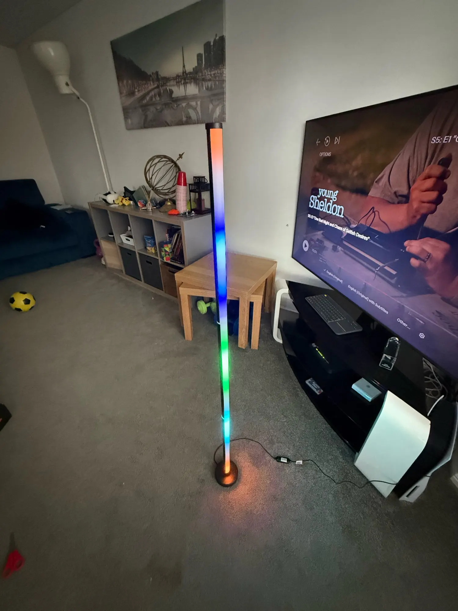 Smart LED Floor Lamp RGB Remote & APP photo review