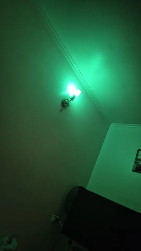 E14 Tuya WiFi Smart LED Bulb Candle Light photo review