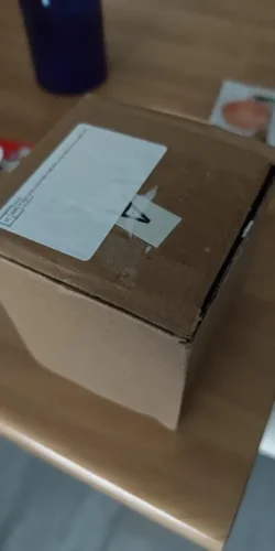 Alien Duck Resin Statue，Evil Alien Duck Ornament ，Resin photo review