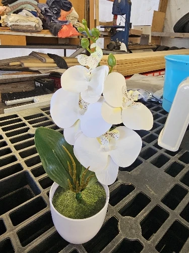 Bonsai Simulated Butterfly Orchid Artificial Potted Plant Desk photo review