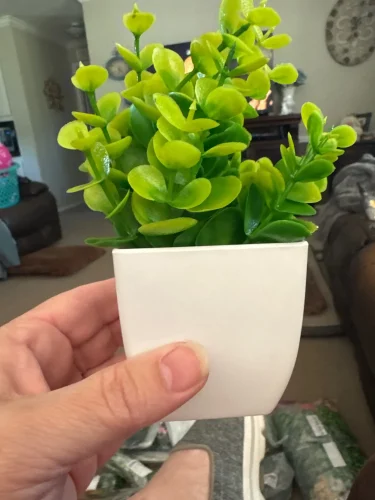 1pc Artificial Plants with Plastics Pots Perfect Greenery photo review