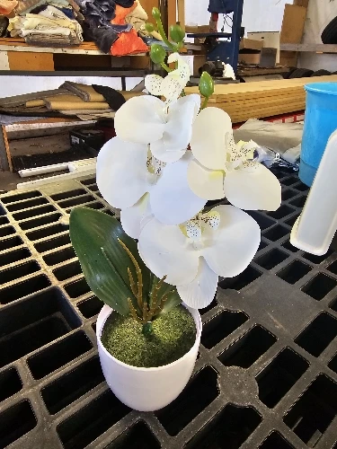 Bonsai Simulated Butterfly Orchid Artificial Potted Plant Desk photo review