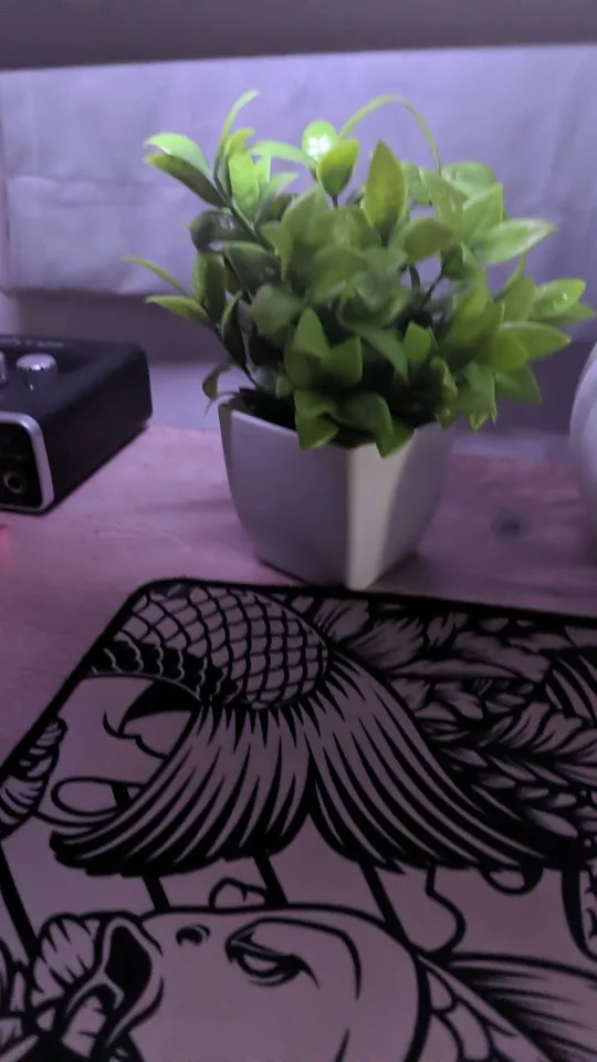 1pc Artificial Plants with Plastics Pots Perfect Greenery photo review