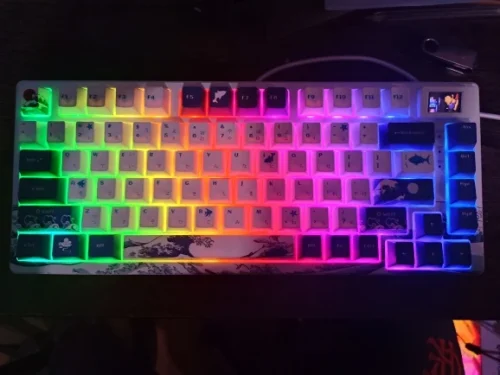 Wired Mechanical Gaming Keyboard with OLED Display Full photo review