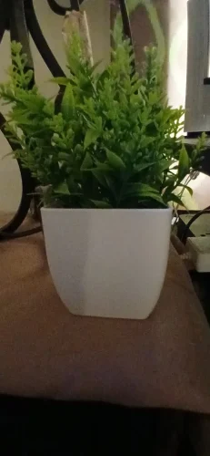 1pc Artificial Plants with Plastics Pots Perfect Greenery photo review