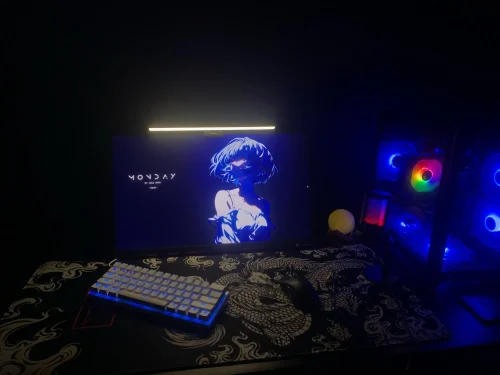 Professional Studio USB Microphone for PC Streaming Gaming photo review