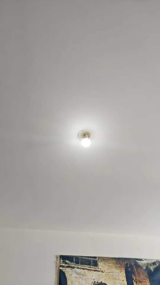 E27 WiFi Smart Dimmable Bulb RGBCW Colorful 220V photo review