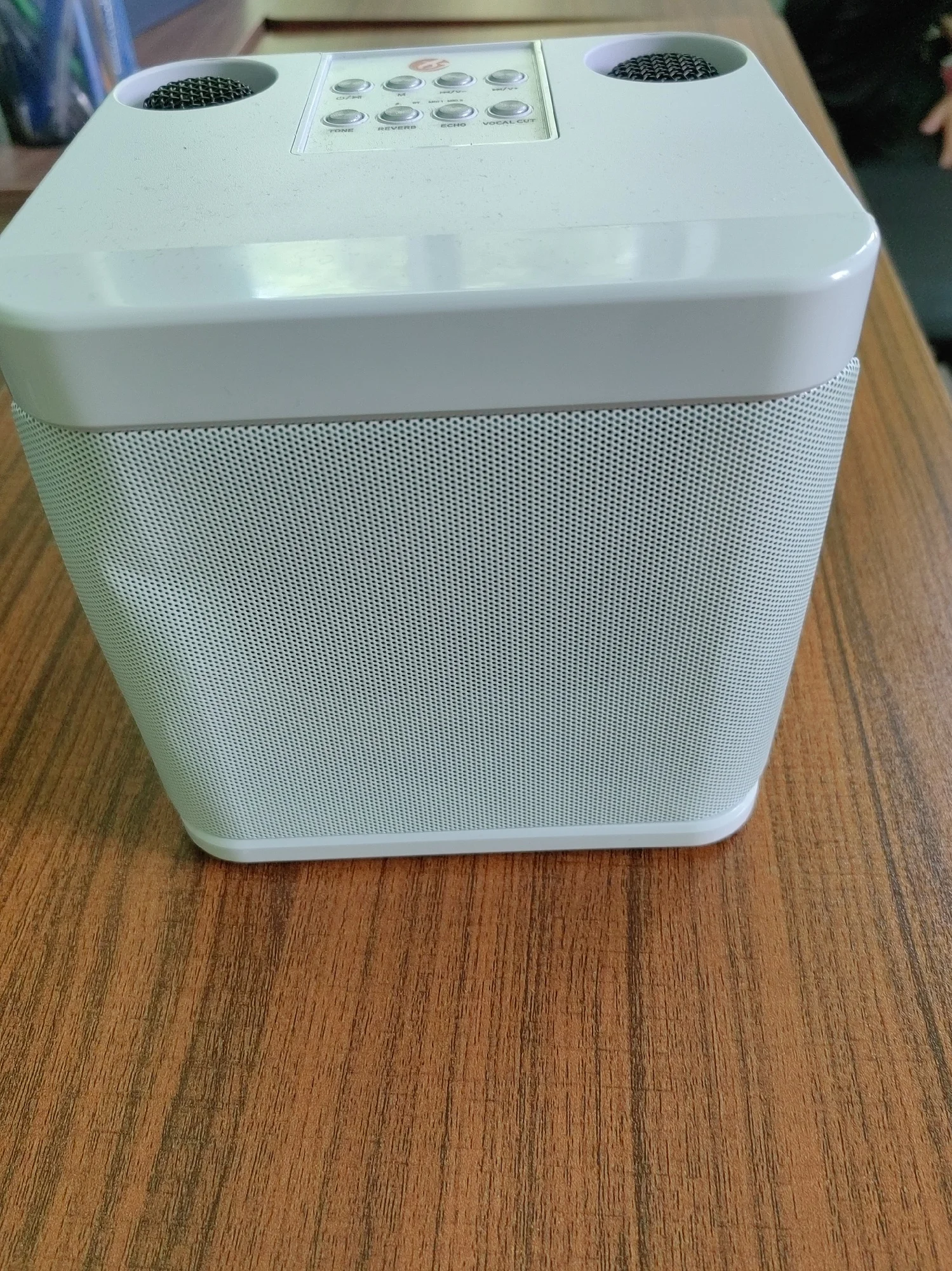 #Portable Dual Microphone Karaoke Machine for Adults Kids photo review