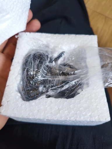 Alien Duck Resin Statue，Evil Alien Duck Ornament ，Resin photo review