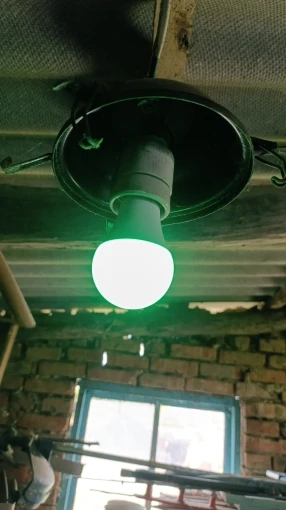 Tuya Smart LED Light Bulbs WiFi Bluetooth RGBCW photo review
