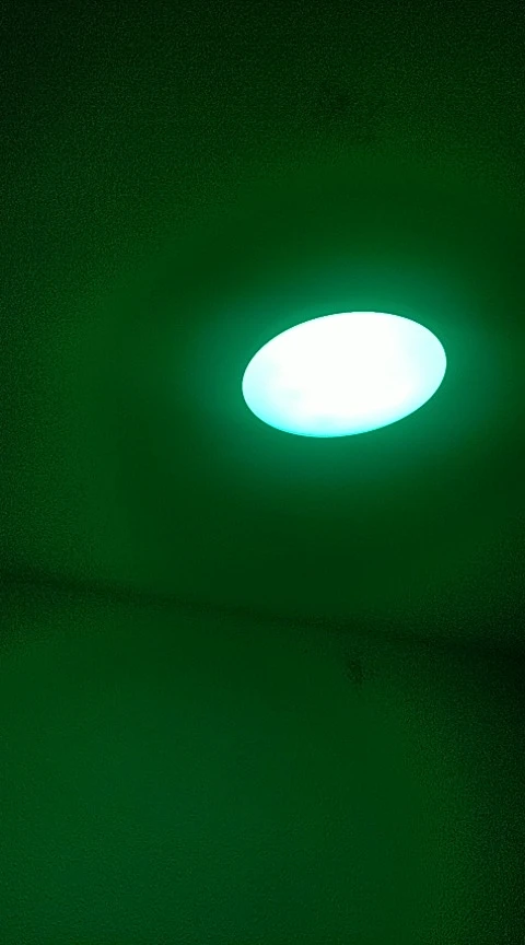 Tuya Smart WiFi Bluetooth LED Ceiling Light AC85-265V photo review