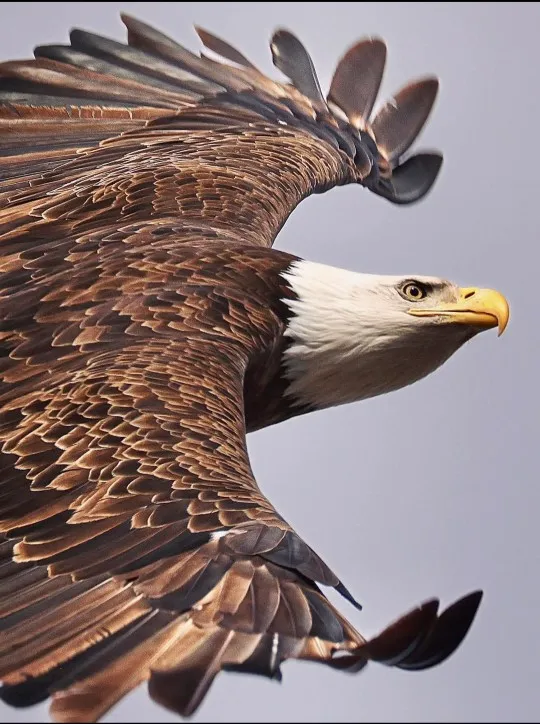 3 In 1 USB Cable Retractable Data Cord photo review