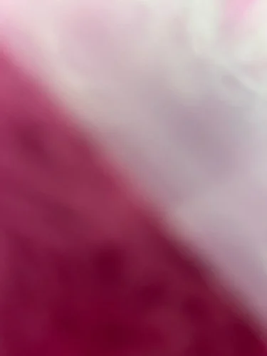 Business Card Holder Desk Bracket Cards Organizer Office photo review