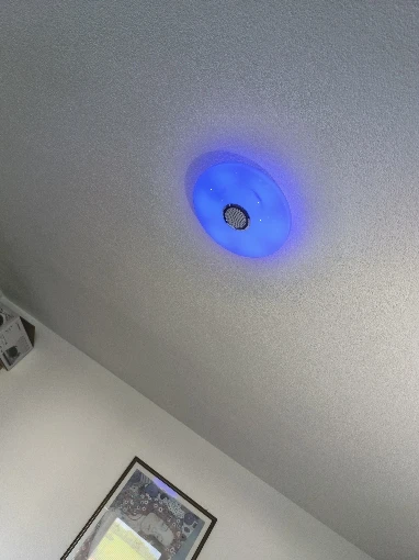 RGB Smart Ceiling Light LED Interior Home Decorative photo review