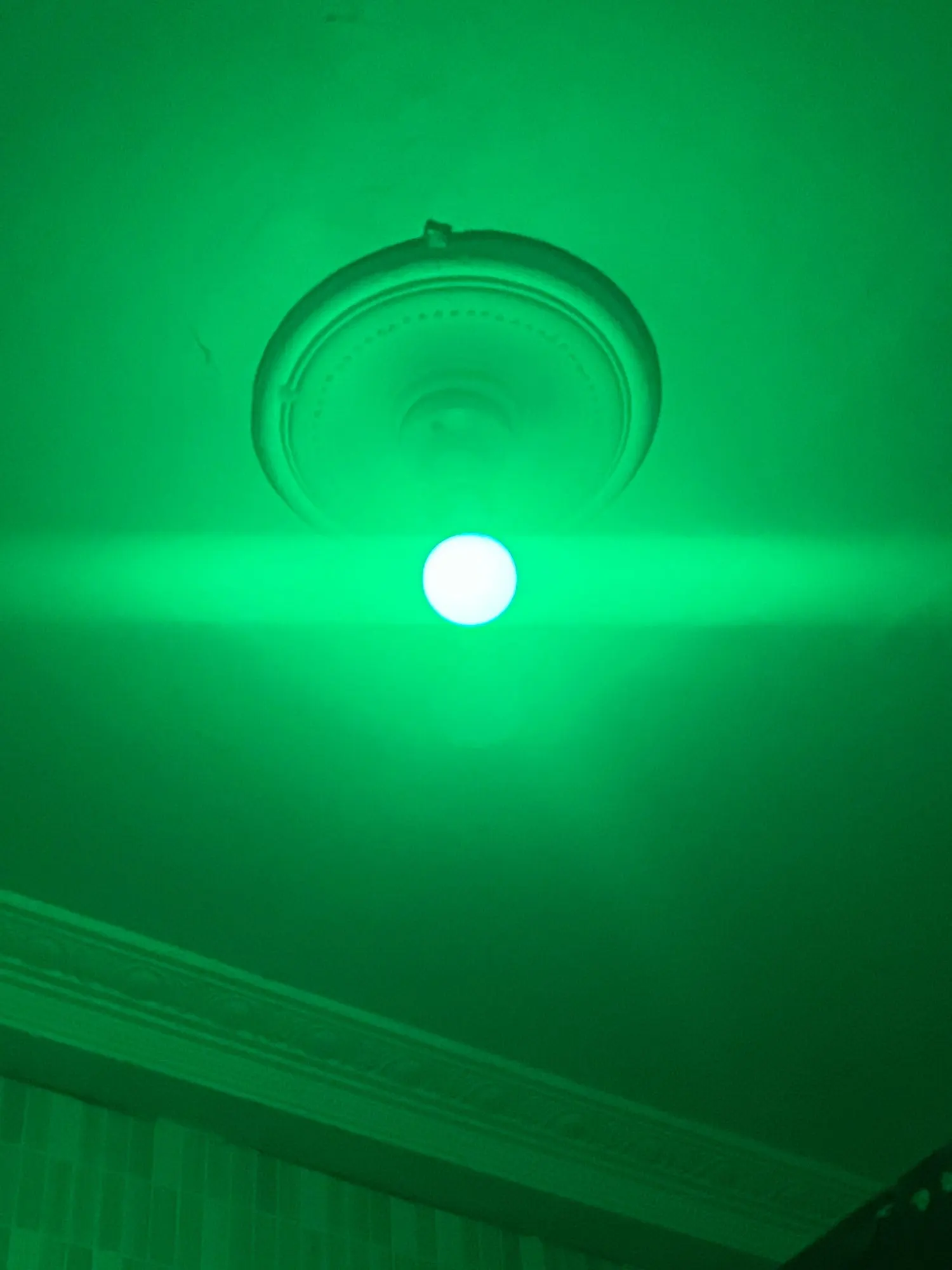 Tuya E27 Led Lamp App Control Bluetooth /WiFi photo review