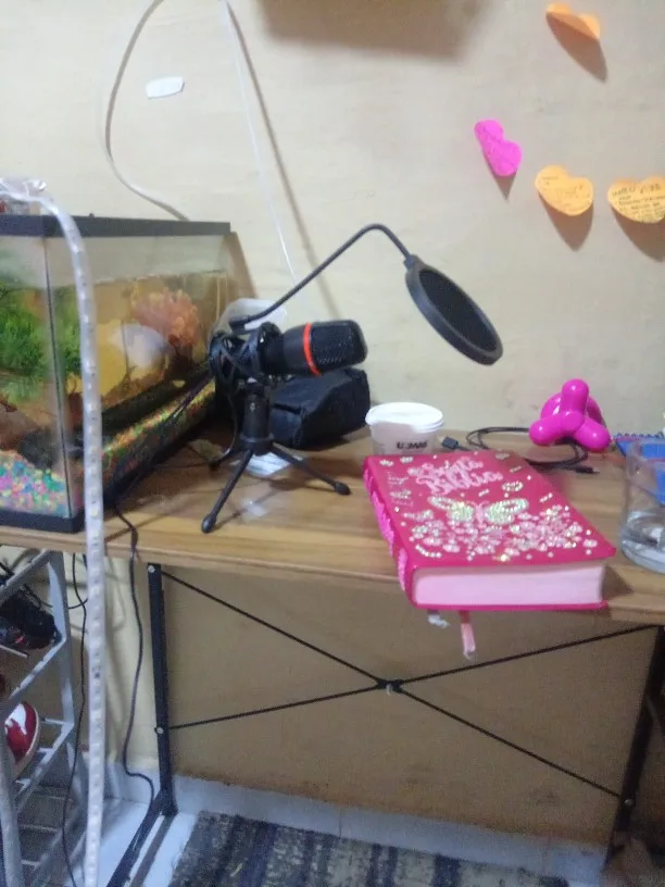 Condenser Microphone USB Wired For PC Laptop Computer photo review