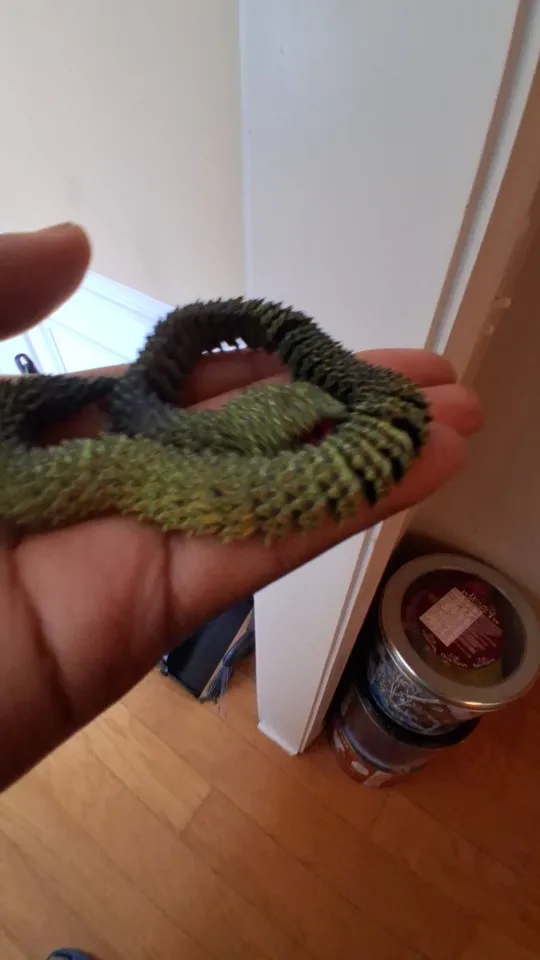 3D Printed Snake with Egg Joint Mobility Simulate photo review