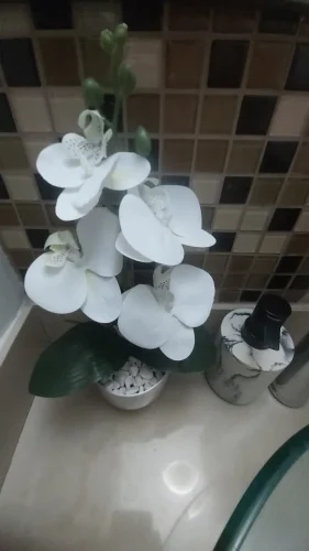 Bonsai Simulated Butterfly Orchid Artificial Potted Plant Desk photo review