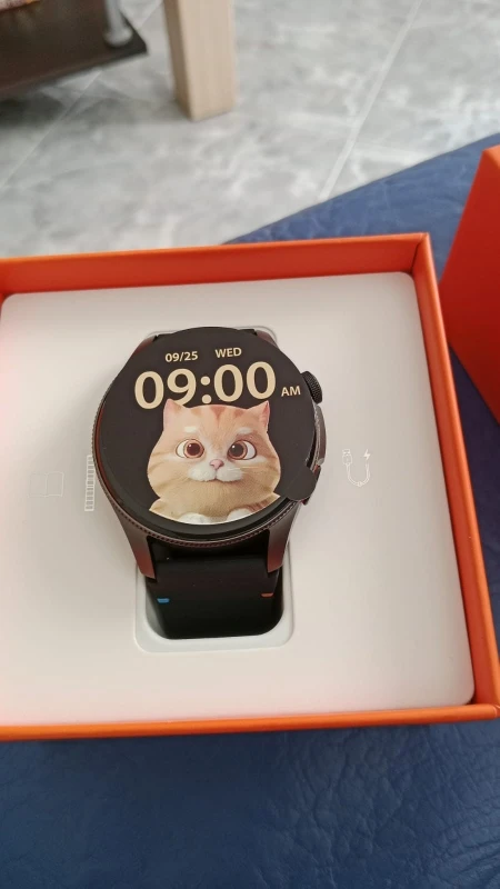 Active2 Smartwatch 1.43" AMOLED Ai Voice/Bluetooth Call GPS photo review