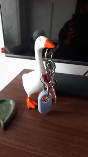 1pc Magnetic Goose Key chain home decoration sculpture photo review