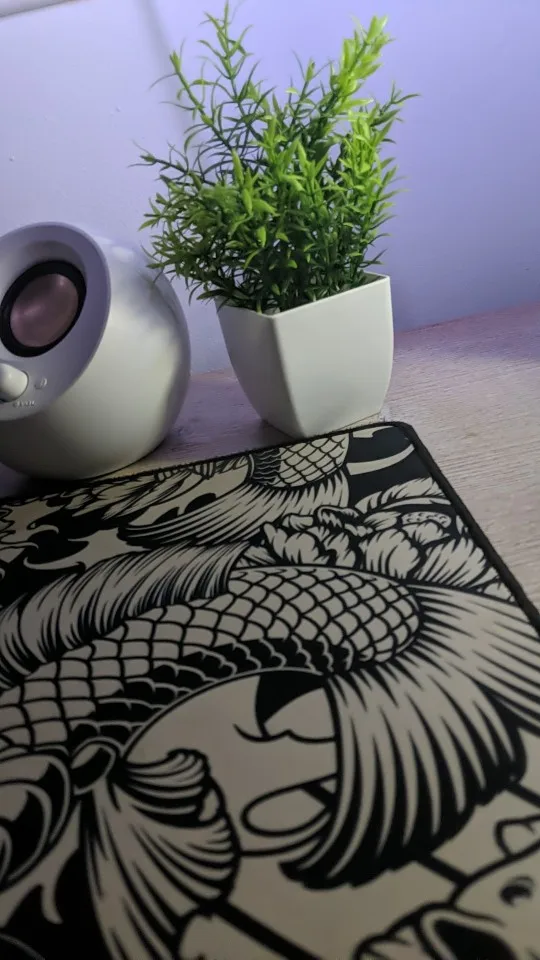 1pc Artificial Plants with Plastics Pots Perfect Greenery photo review