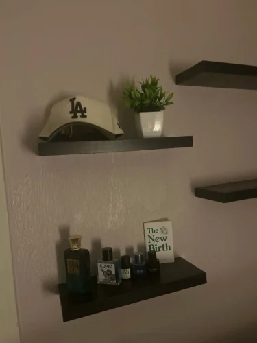 1pc Artificial Plants with Plastics Pots Perfect Greenery photo review