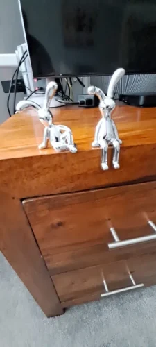 2PC Long-Eared Rabbit Double Statue Cartoon Decoration Accessories photo review