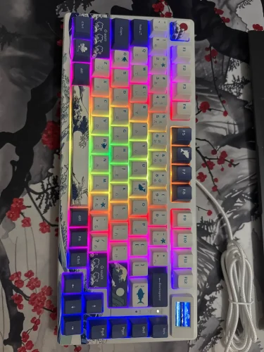 Wired Mechanical Gaming Keyboard with OLED Display Full photo review