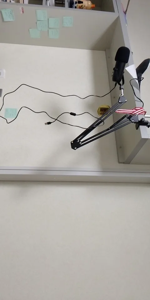 Haomuren Professional USB Streaming Podcast PC Microphone Studio photo review