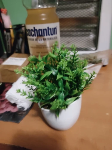 1pc Artificial Plants with Plastics Pots Perfect Greenery photo review