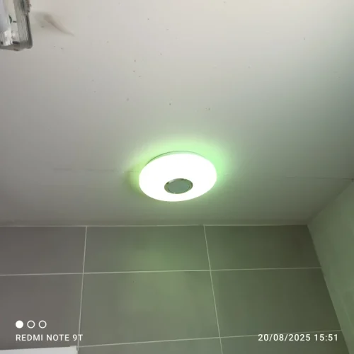 RGB Smart Ceiling Light LED Interior Home Decorative photo review