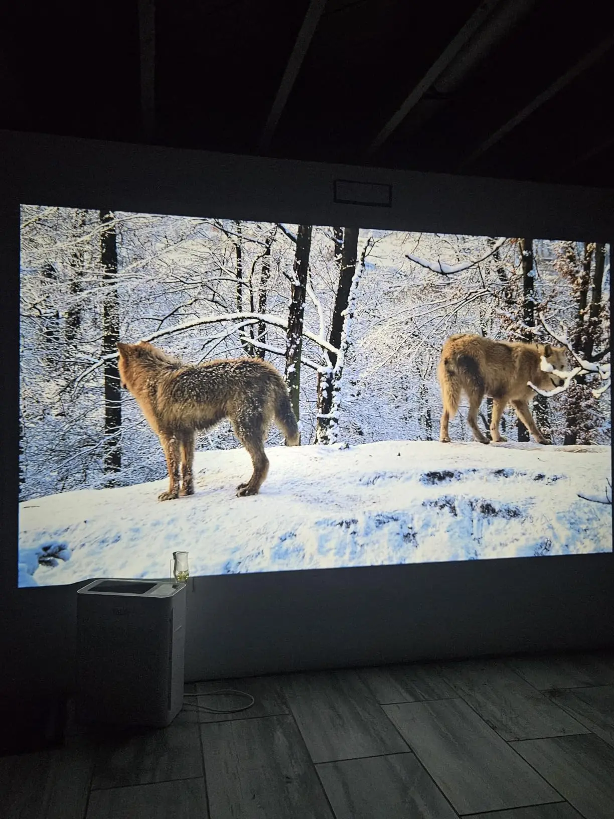 HUAWEISHI 4K Projector Android Native Portable 1080P Auto photo review