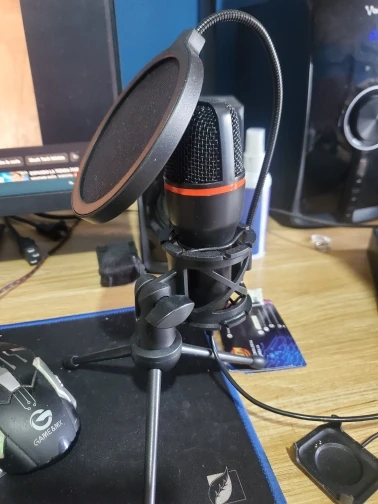 Condenser Microphone USB Wired For PC Laptop Computer photo review