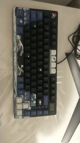 Wired Mechanical Gaming Keyboard with OLED Display Full photo review