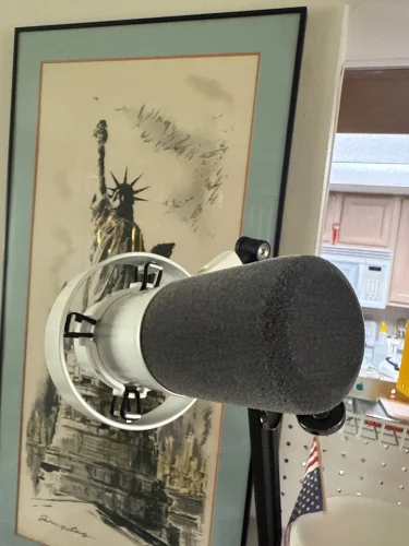 FIFINE Dynamic USB/XLR Microphone with Gain Knob/Touch-mute/Headphone Jack,Recording photo review