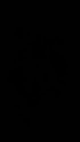 VIJIM Ulanzi MT-33 Flexible Octopus Tripod for Phone photo review