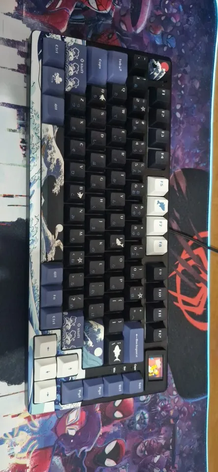 Wired Mechanical Gaming Keyboard with OLED Display Full photo review