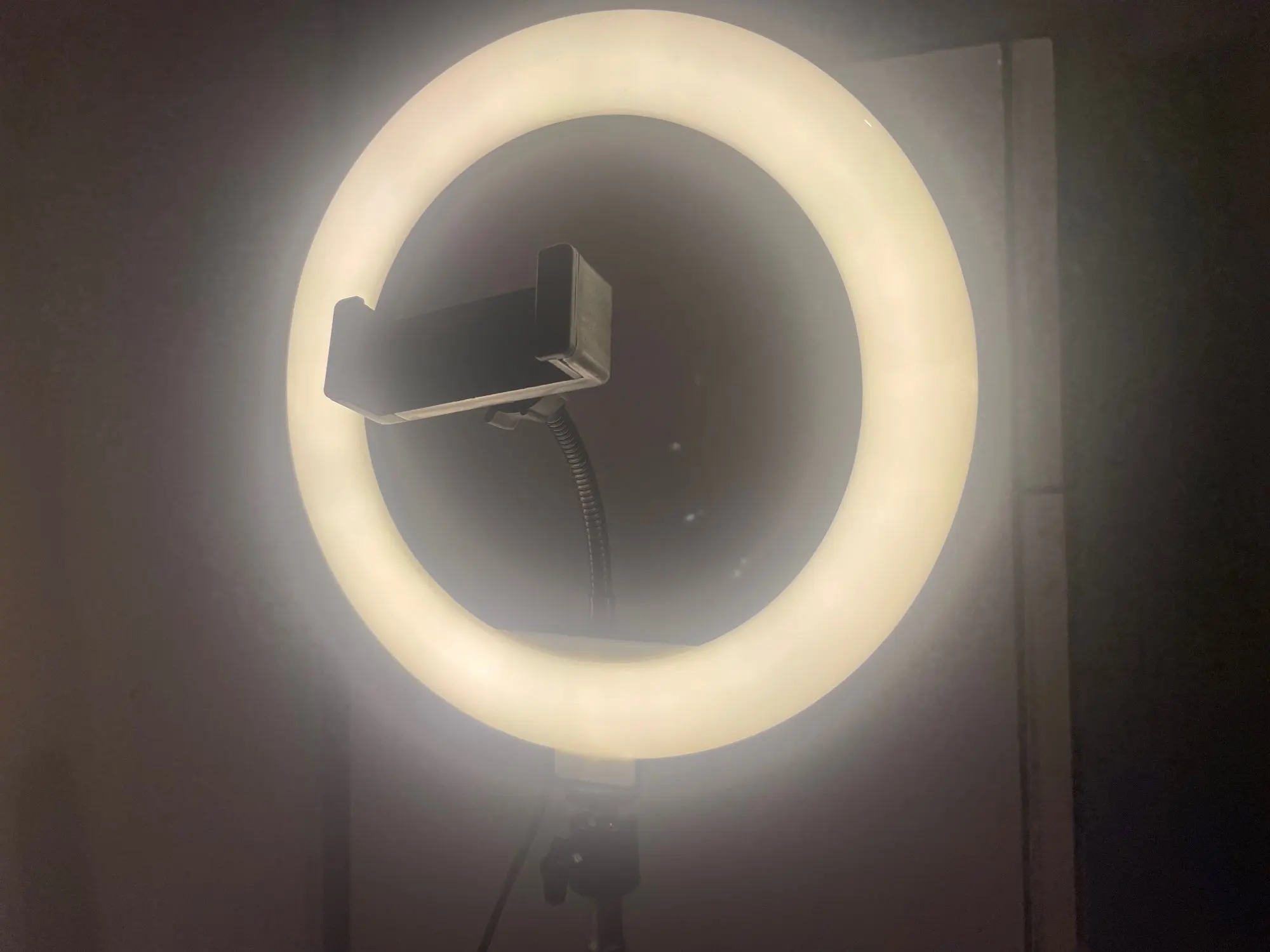 10inch Selfie Ring Light Photography Fill Light Led photo review